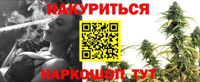 индика Пушкино