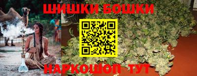 индика Пушкино