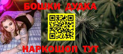 индика Пушкино